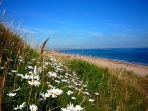 Margaret Grant Marske Headland